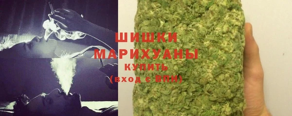 ECSTASY Богородицк