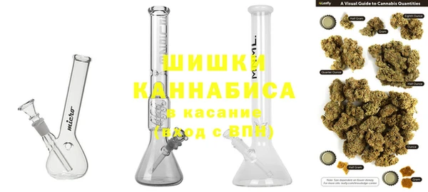 индика Балахна